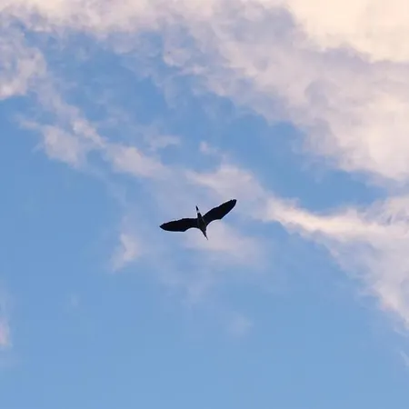 Heron's Path I Apartamento *